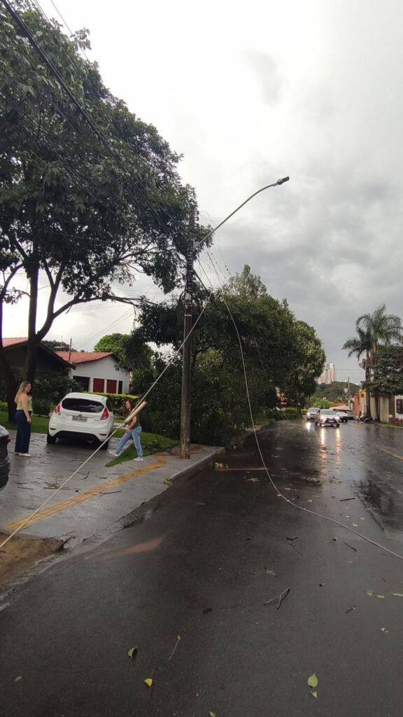 Temporal derruba árvores e causa estragos em Goiânia
