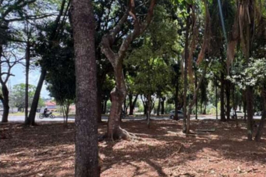 MPGO vai contra intervenções em áreas verdes do Setor Parque das Laranjeiras em Goiânia