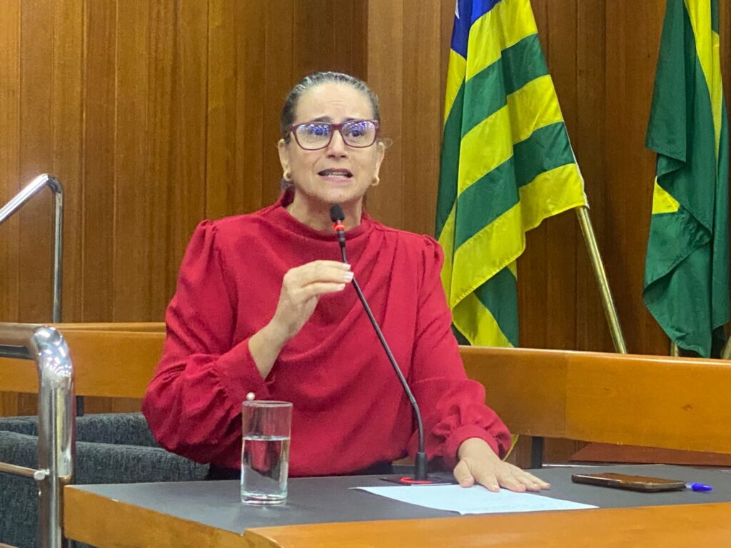 Kátia critica criação da ‘taxa da chuva’ e cobra uso de recursos federais para drenagem em Goiânia