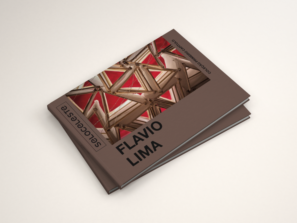 Livro de artista visual goiano Flávio Lima reúne pesquisa sobre luz, cor e fotografia