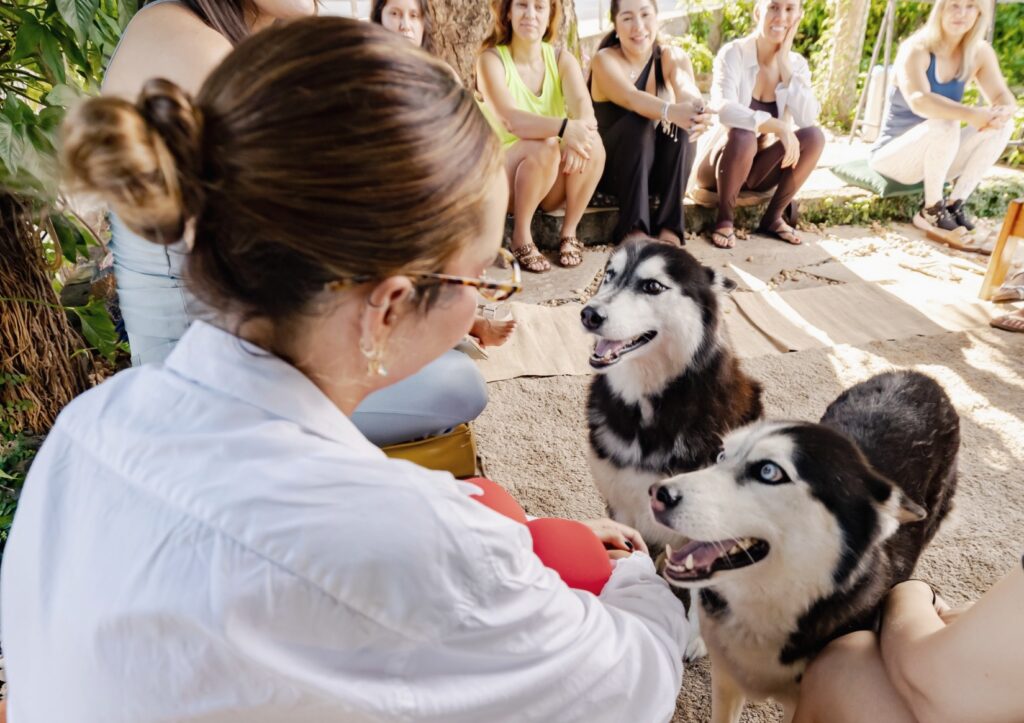 Mulheres que falam com lobos