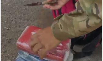 Mulher é presa com cocaína em ônibus interestadual enquanto viajava com filha de apenas 1 ano em Goiânia