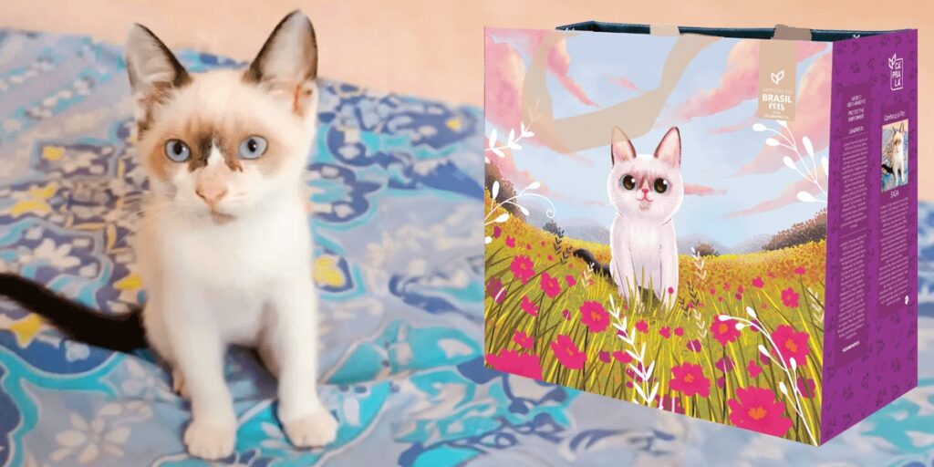 Projeto quer transformar fotos e histórias de pets em artes de ecobags