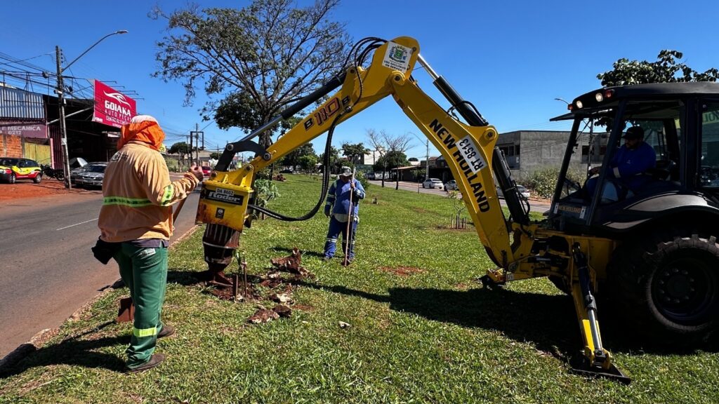 Comurg inicia a retirada de raízes em calçadas e espaços públicos