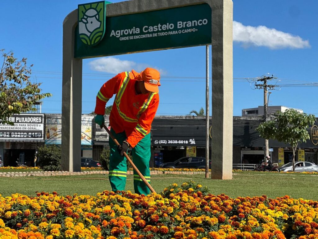 Goiânia floresce na chegada da seca