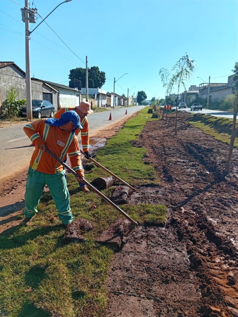 Comurg intensifica arborização e paisagismo com plantio de 25 mil metros de grama em Goiânia