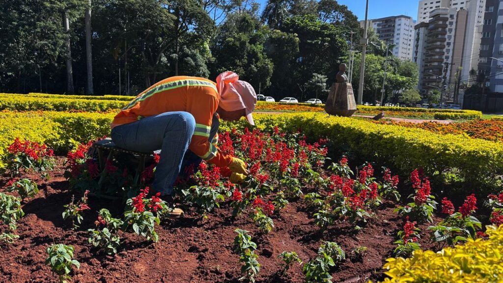 Flores transformam paisagem urbana em sete pontos de Goiânia