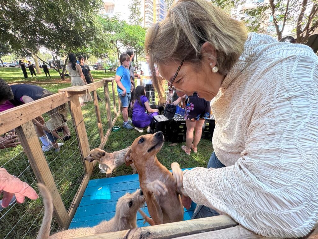 Amma e Portal Shopping promovem ação de adoção de cães e gatos neste sábado (16/5) em Goiânia