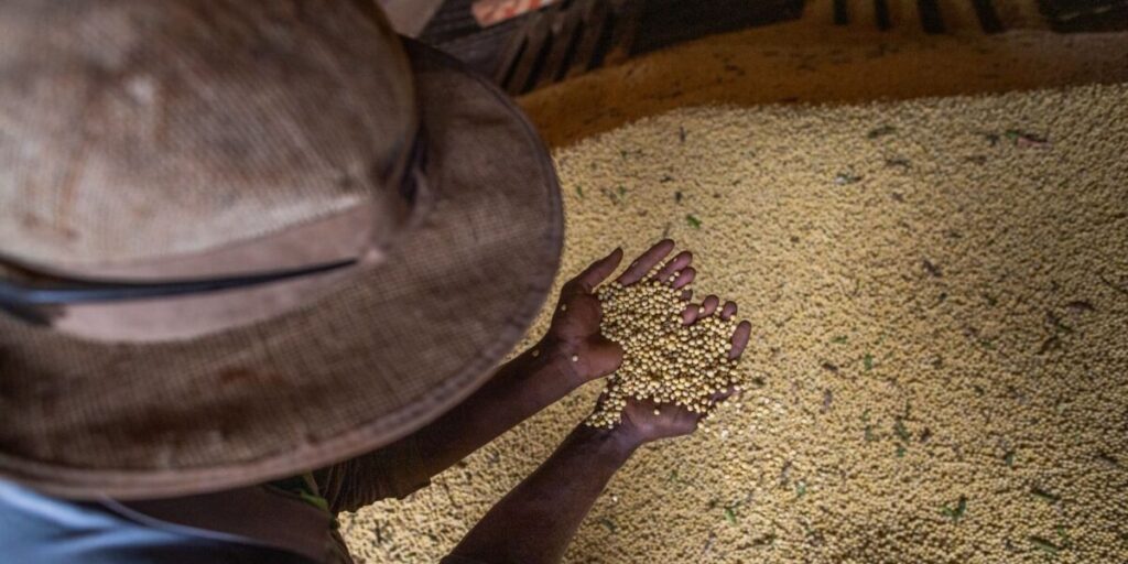 Goiás registra superávit de US$ 1,047 bilhão na balança comercial em abril de 2026