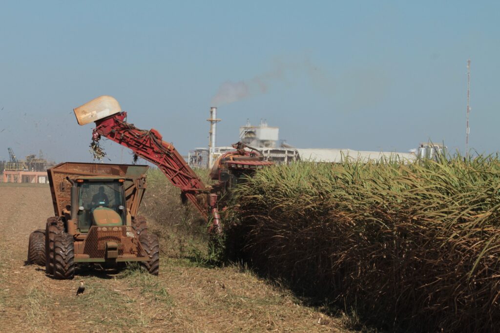 Goiás bate recorde e atinge segundo lugar no ranking nacional de produção de cana-de-açúcar
