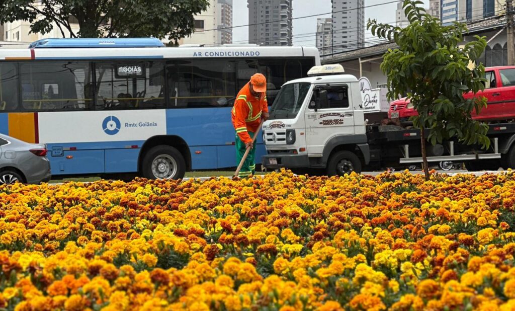 Comurg leva serviços de paisagismo a praças e canteiros de avenidas