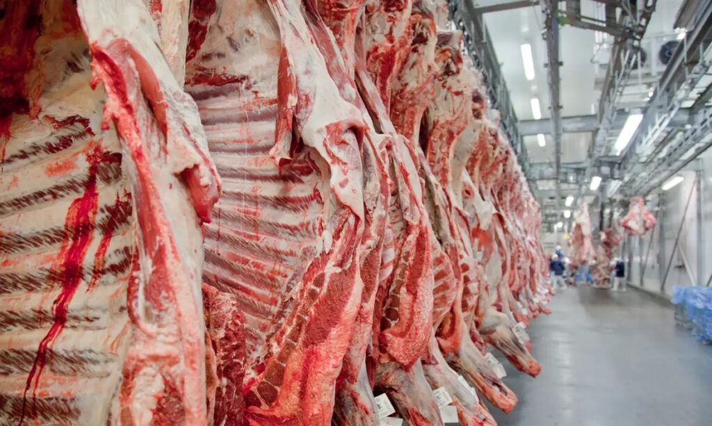 União Europeia confirma veto à importação de carnes do Brasil a partir de setembro