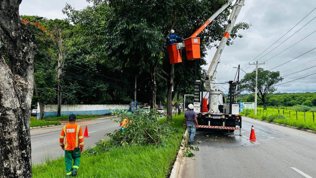 Prefeitura anuncia novas medidas para aprimorar transparência e controle no corte de árvores em Goiânia 