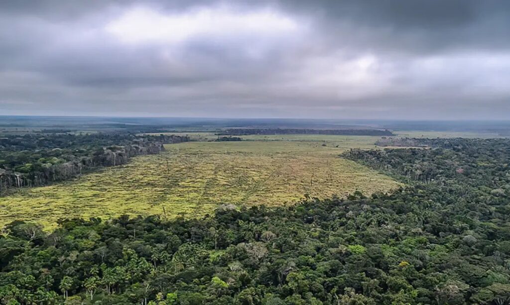Descontrole ambiental promovido pela Câmara agrava cenário futuro do agronegócio, diz Ipam
