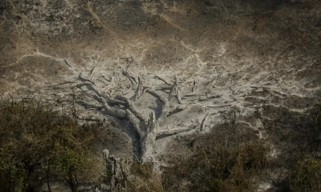 Pesquisa aponta que mudanças climáticas já afetam 85% dos brasileiros