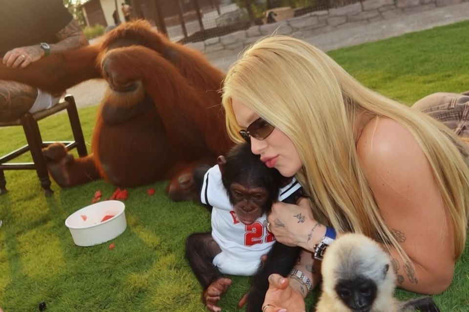 Virginia se pronuncia após repercussão de vídeo gravado em um zoológico de Dubai