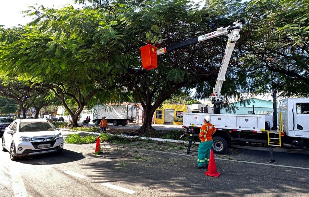 Comurg realiza poda preventiva em 17 bairros das regiões Oeste e Sudoeste de Goiânia