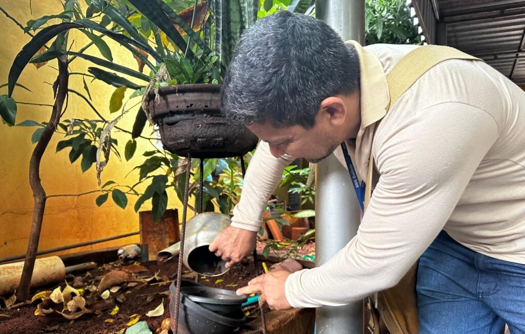 Prefeitura de Goiânia alerta sobre cuidados com arboviroses