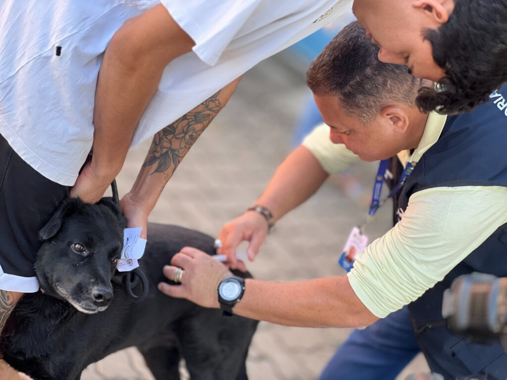 Caso de raiva em Goiânia leva Saúde a intensificar vacinação de cães e gatos