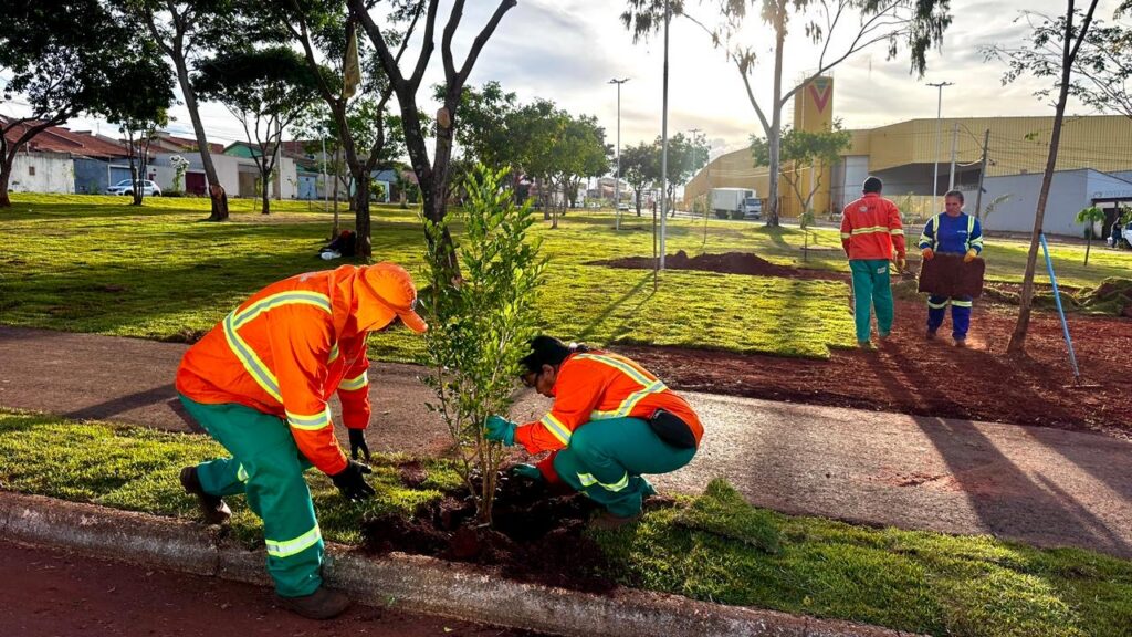 Praça do Recanto do Bosque ganha novo paisagismo com plantio de mudas de árvores e plantas ornamentais