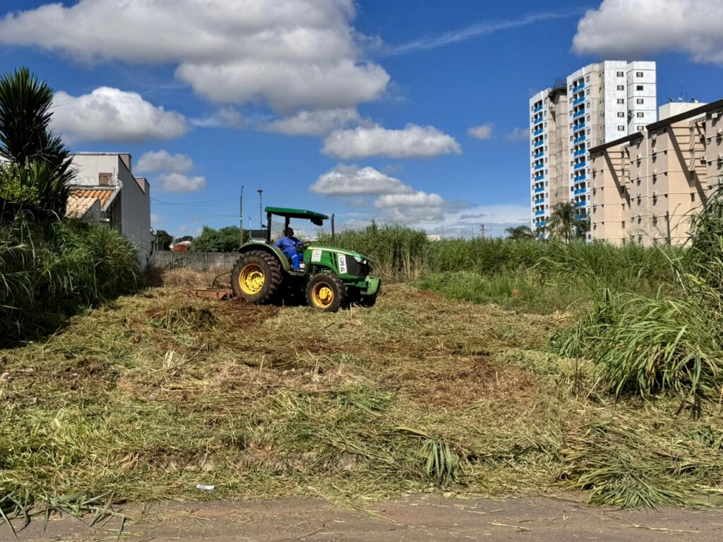 Prefeitura executa limpeza de 514 lotes particulares após autuações por falta de manutenção