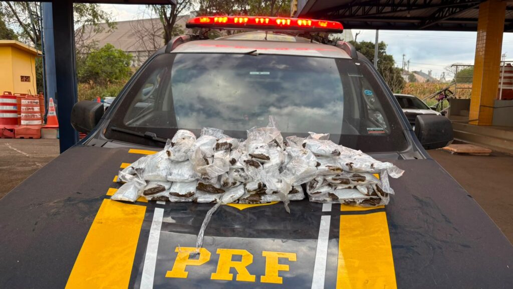 Mulheres são flagradas com drogas presas ao corpo durante fiscalização da PRF na BR-060, em Goiás