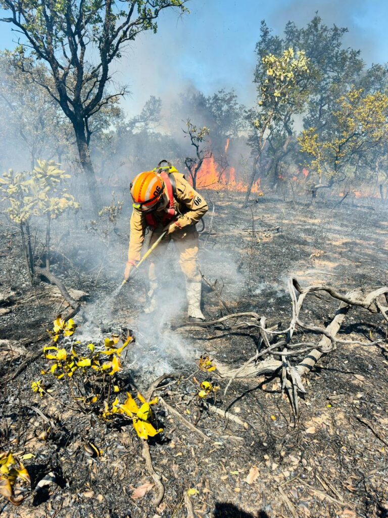 Operação reforça trabalho em parques de Goiás com foco na prevenção a incêndios florestais  
