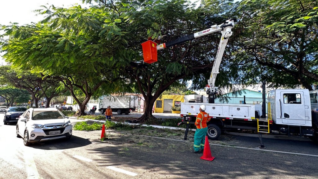 Amma e Comurg alinham equipes e padronizam manejo arbóreo de Goiânia