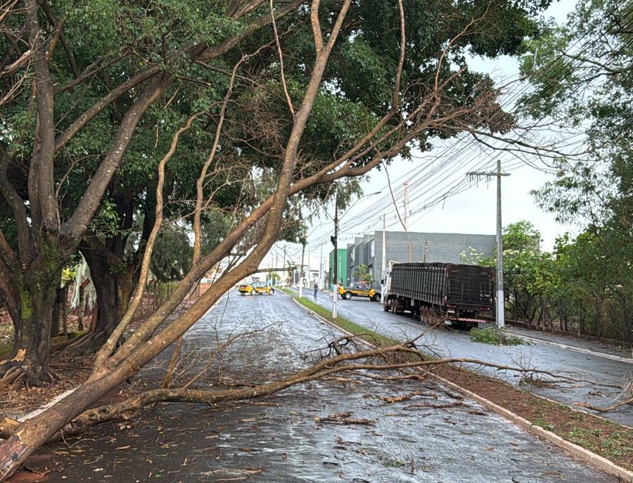 Previsão indica tempestades com ventos de 60 km/h em algumas cidades goianas