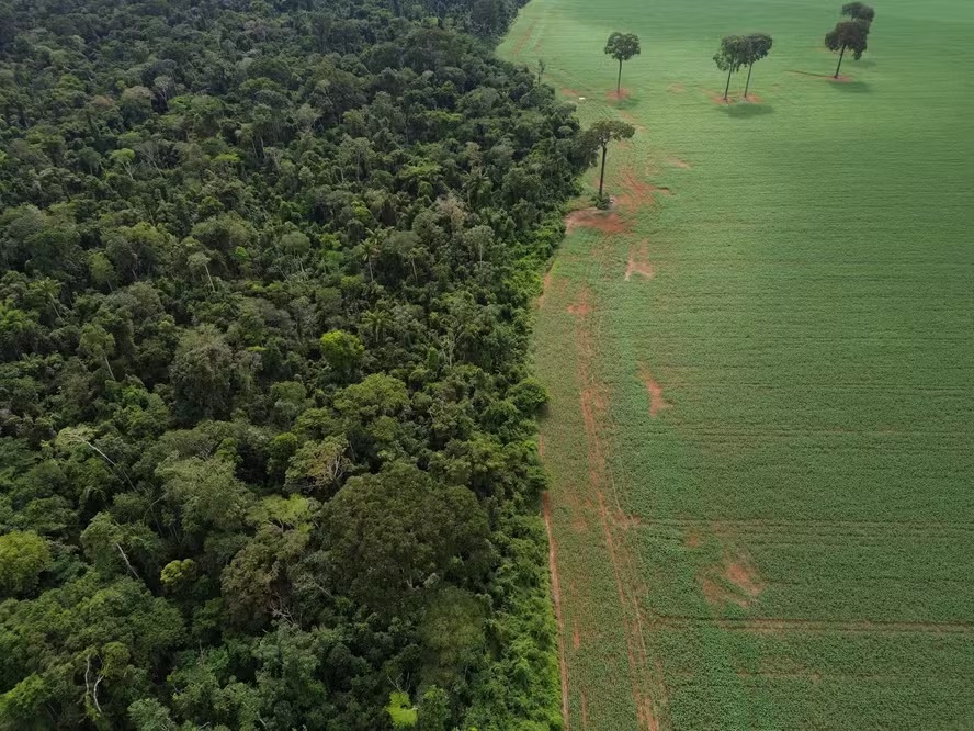 BNDES veta R$ 1,1 bi em crédito para donos de terras com alerta de desmatamento ilegal