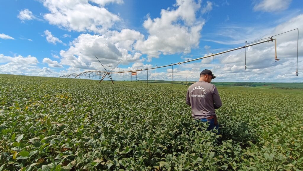 Segunda etapa da Expedição Safra Goiás começa nesta terça-feira (16/6) com avaliação de plantações