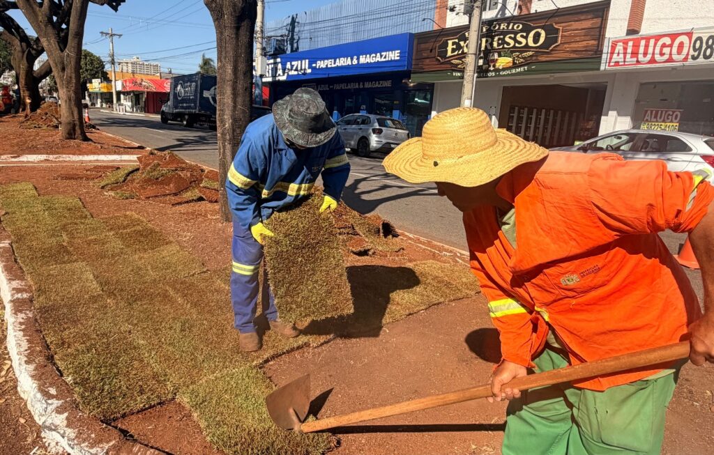 Comurg revitaliza vias da Região Leste com flamboyants e 1,5 mil m² de grama esmeralda