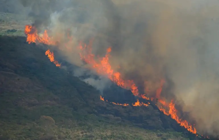 Onda de calor na Europa e nos EUA provoca mortes e incêndios florestais