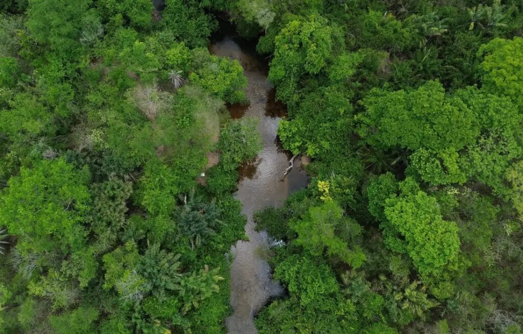 Área queimada no Brasil fica 31% abaixo da média histórica em 2025