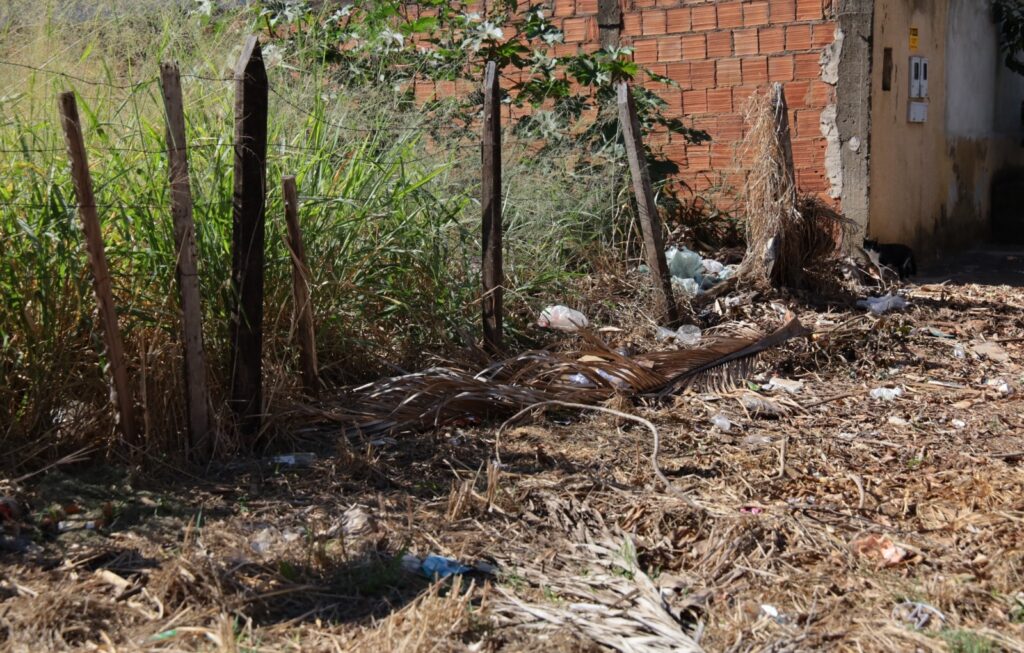Prefeitura de Aparecida regulamenta limpeza de lotes baldios e reforça responsabilidade dos proprietários