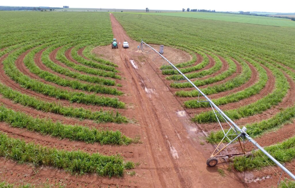 Consumo de energia na agricultura irrigada em Goiás avança 11% em três anos
