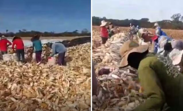 Operação resgata mais de 50 trabalhadores em condições análogas à escravidão em Goiás