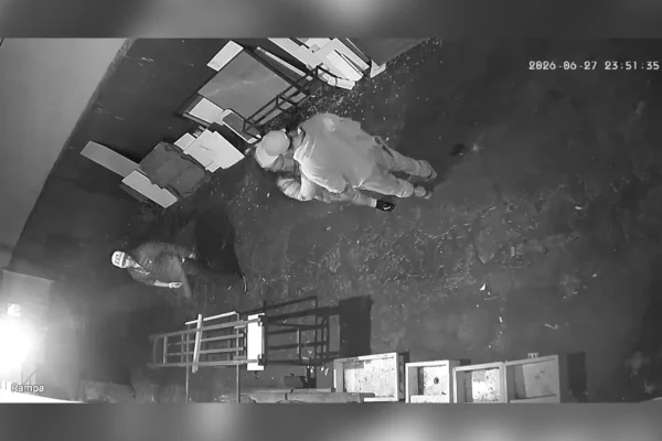 Mulher é morta pelo marido com 28 facadas no Paraná