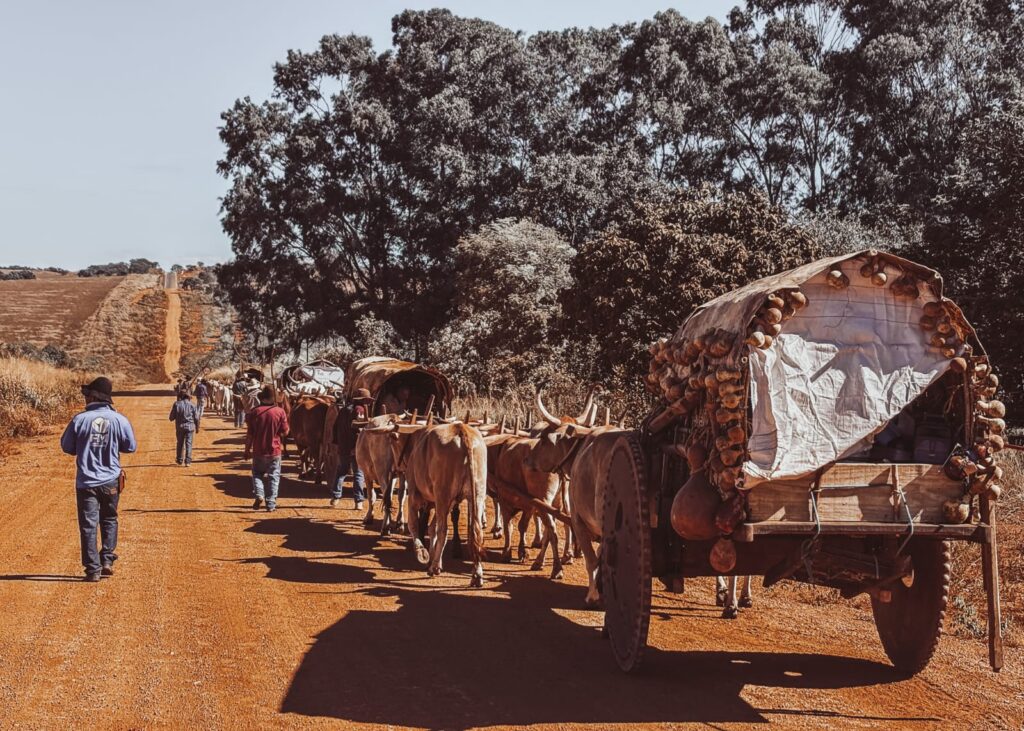 Série documental retrata pela primeira vez toda a jornada dos carreiros de Orizona até Trindade