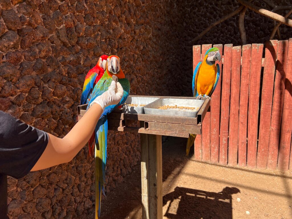 Zoológico tem cuidados especiais com animais durante variações de temperatura