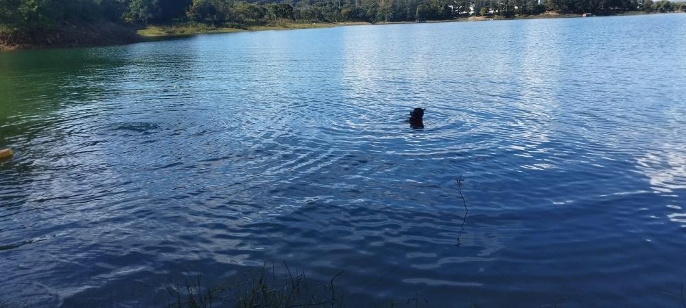 Duas pessoas morrem afogadas no Lago Corumbá em Caldas Novas