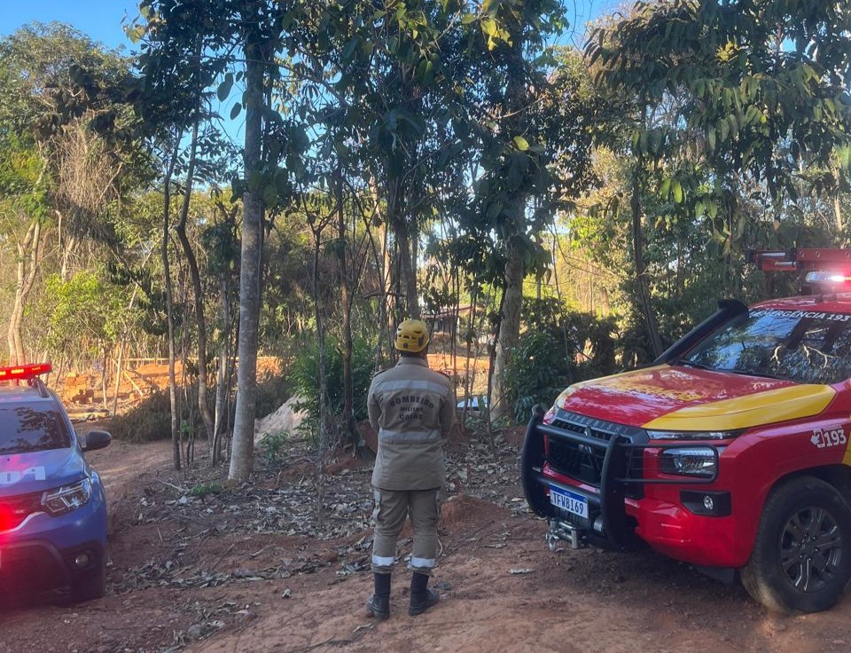 Homem morre ao ser atingido por tronco durante poda de árvore em Bela Vista de Goiás