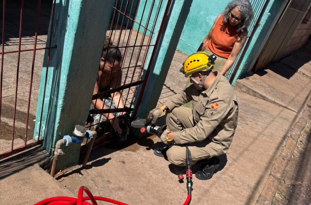 Cachorro fica com a cabeça presa em grade de portão e precisa ser resgatado por bombeiros em Piracanjuba