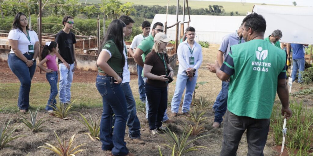 Emater Goiás divulga resultado da seleção para segunda turma do Agro é Social Jovem