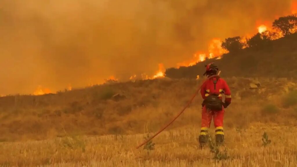 Mais de 200 mil pessoas são evacuados por incêndios florestais na França e na Espanha