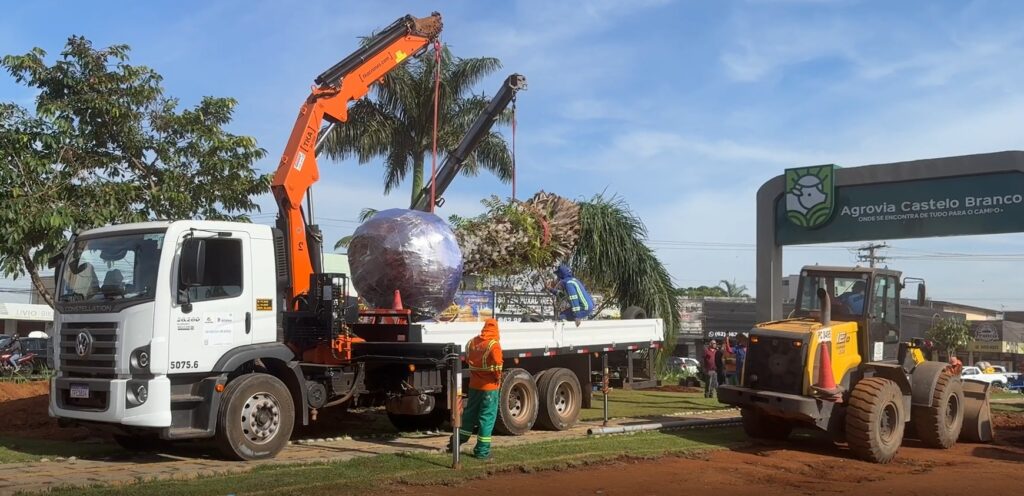 Comurg inicia transplante de árvores na Praça Ciro Lisita em Goiânia