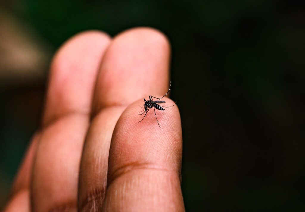 HDT orienta população a manter cuidados contra o Aedes aegypti durante a seca
