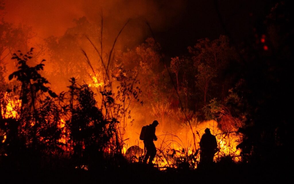 Força-tarefa mira ações de enfrentamento a incêndios florestais diante da emergência climática em Goiás