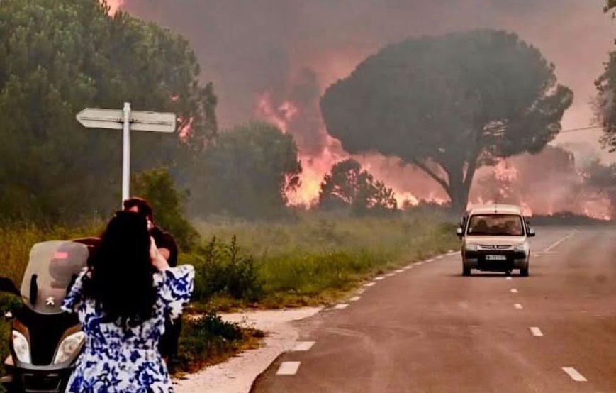 Incêndios florestais assolam Portugal, Grécia e Espanha; autoridades alertam para fumaça tóxica