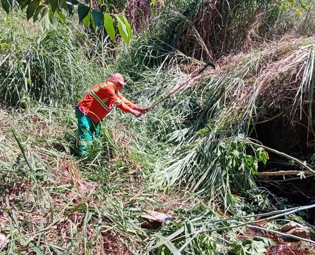 Prefeitura de Goiânia limpa 5,7 milhões de m² em volta de mananciais
